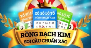 Soi cầu bạch kim | Phương pháp soi lô gan, lô đẹp, lô khung