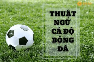 Thuật ngữ cá độ bóng đá. Các thuật ngữ cá độ phổ biến nhất