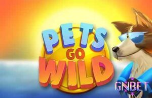 Pets go Wild Hot: Slot độc đáo của Microgaming RTP 95,04%